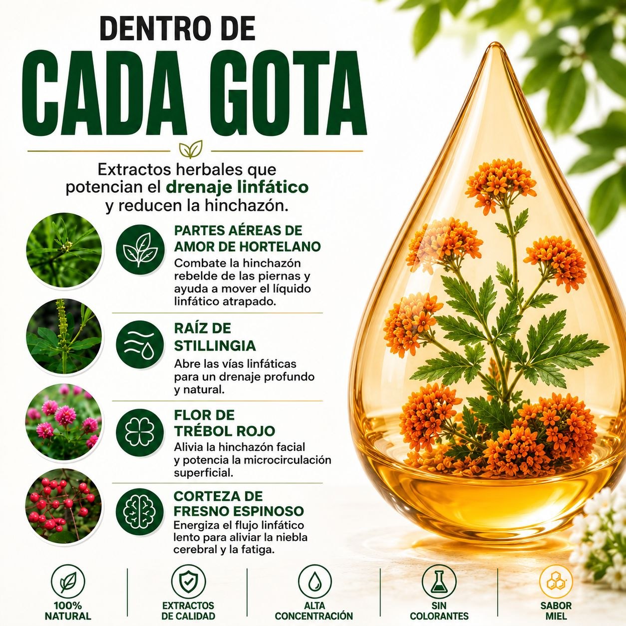 ¿Te sientes hinchada, pesada o con retención de líquidos?